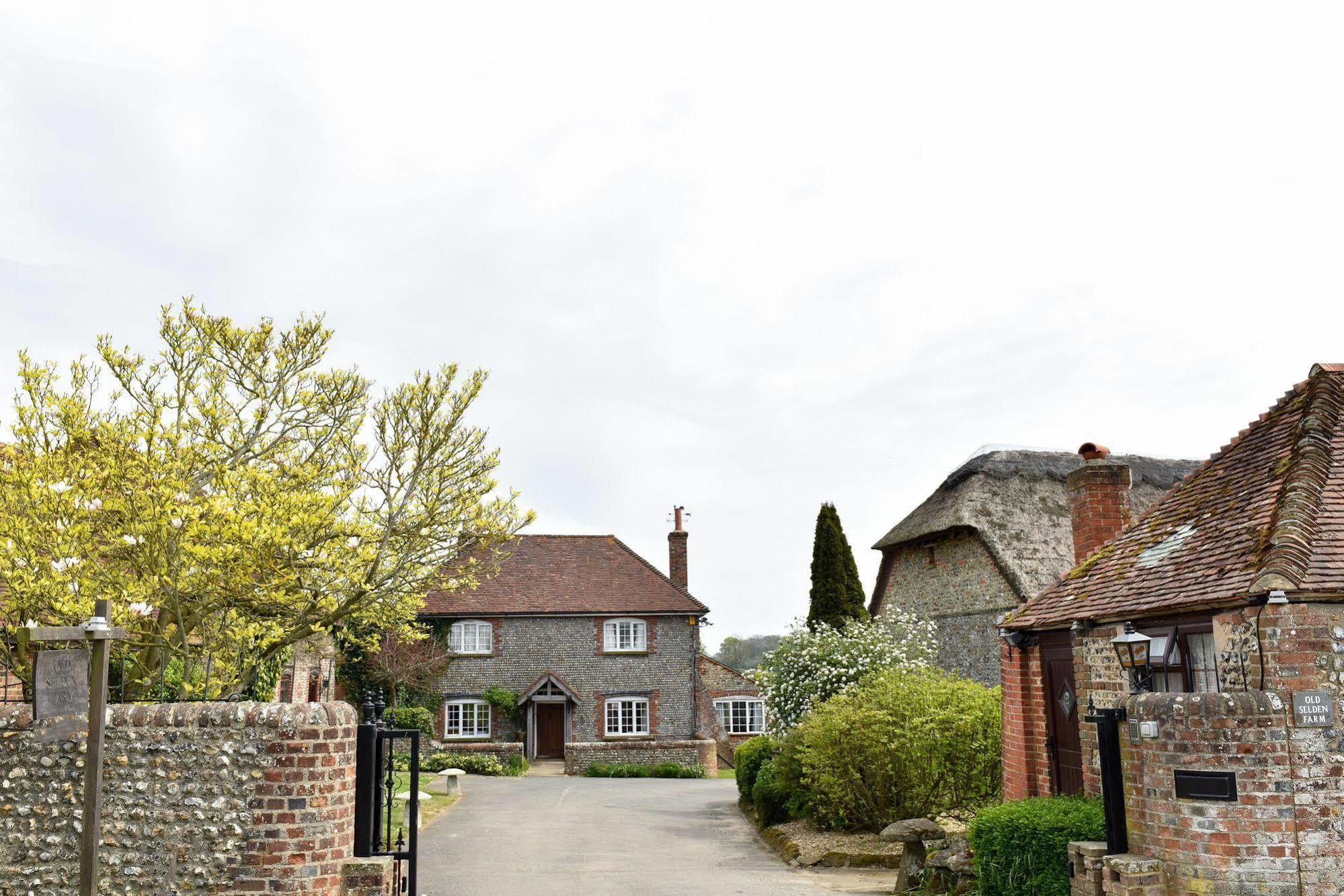 Old Selden Farm B&B Clapham  Exterior foto